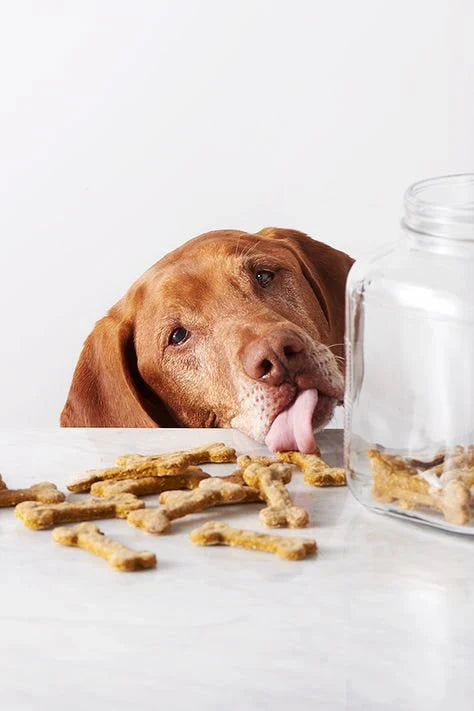 Pumpkin Dog Treats