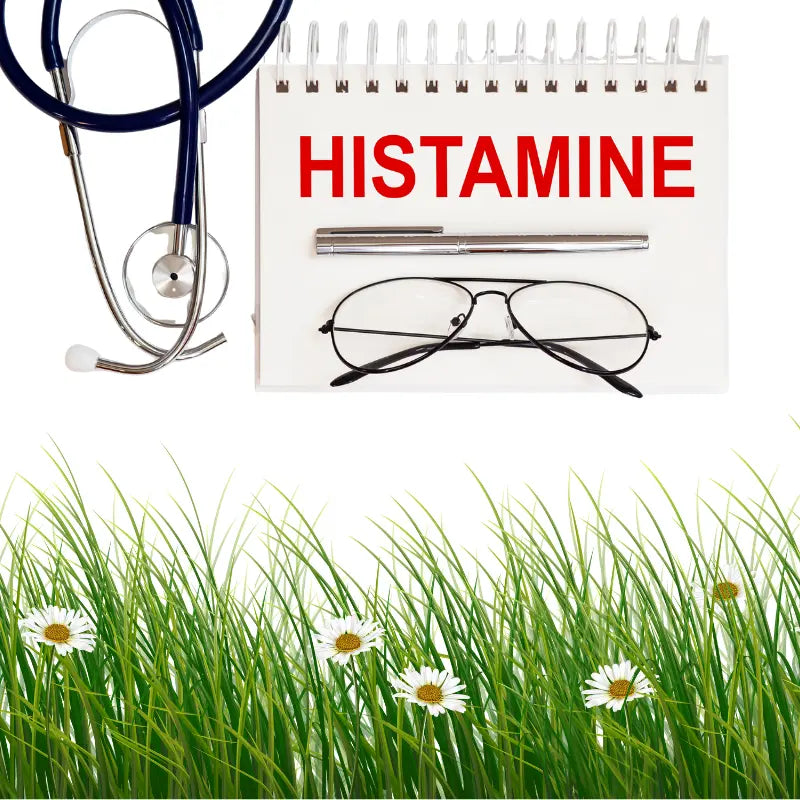 Allergy-and-Histamine Boro Holistic Health