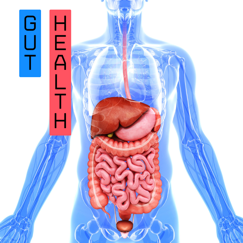 Gut-Health Boro Holistic Health