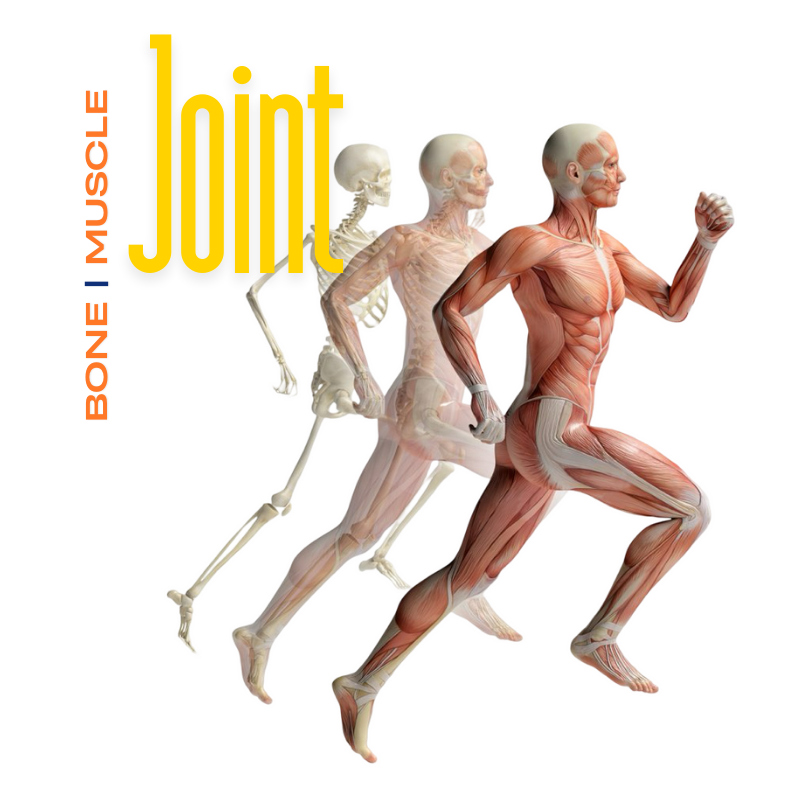 Bone-Joint Boro Holistic Health
