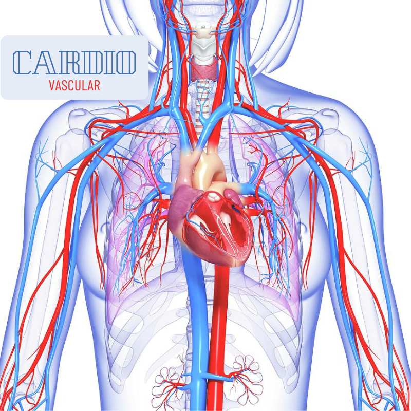 Cardio-Health Boro Holistic Health