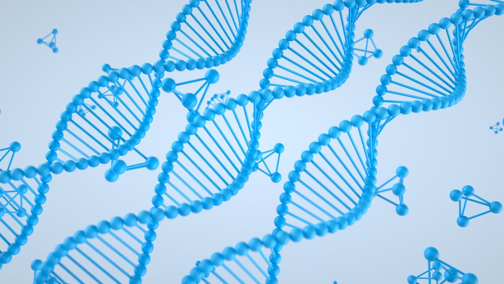 Genetic Mutation Support